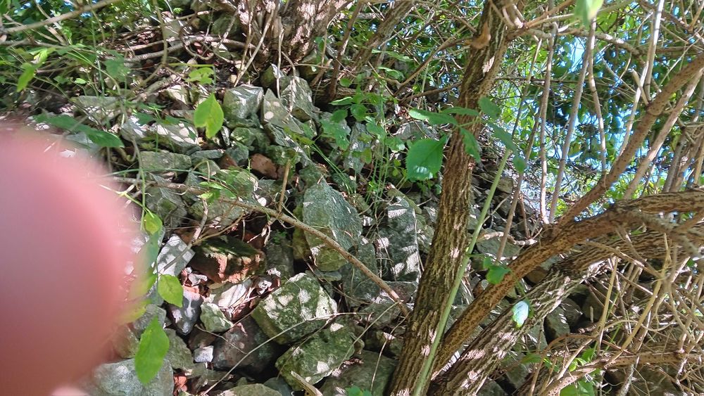 Kamień żółty, gruz.