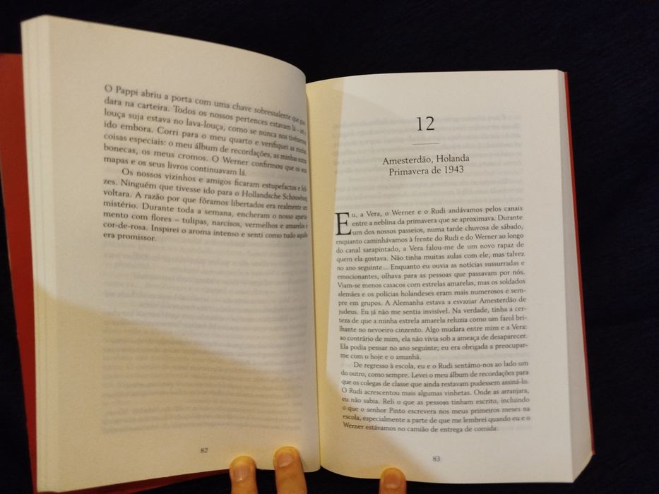 A Rapariga que acreditava em Milagres, de Irene Butter