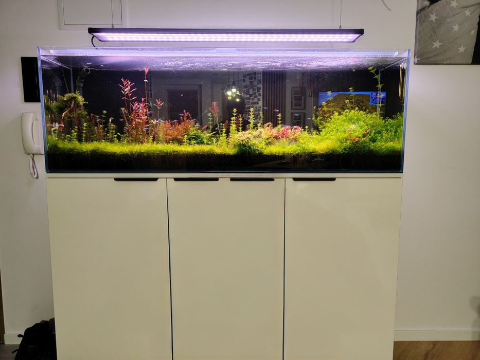 Akwarium 300l komplet , prawie nowy.