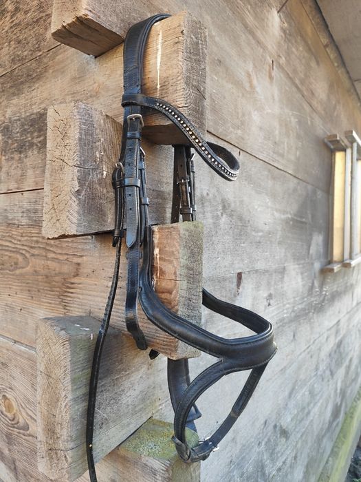 Ogłowia pony, cob i full