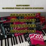 Złote numery 880 000 xxx
