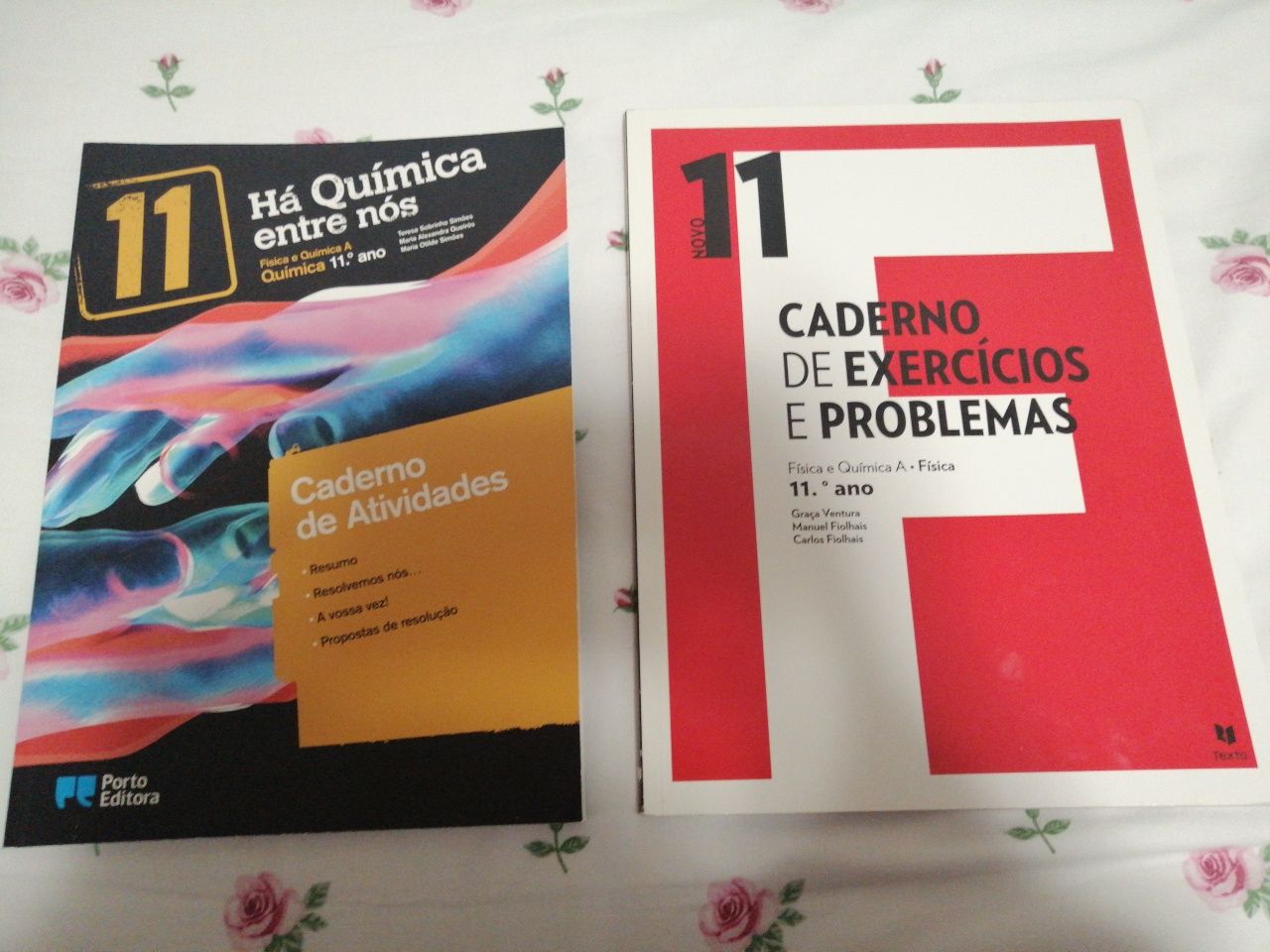 Cadernos de atividades de química e física 11° ano