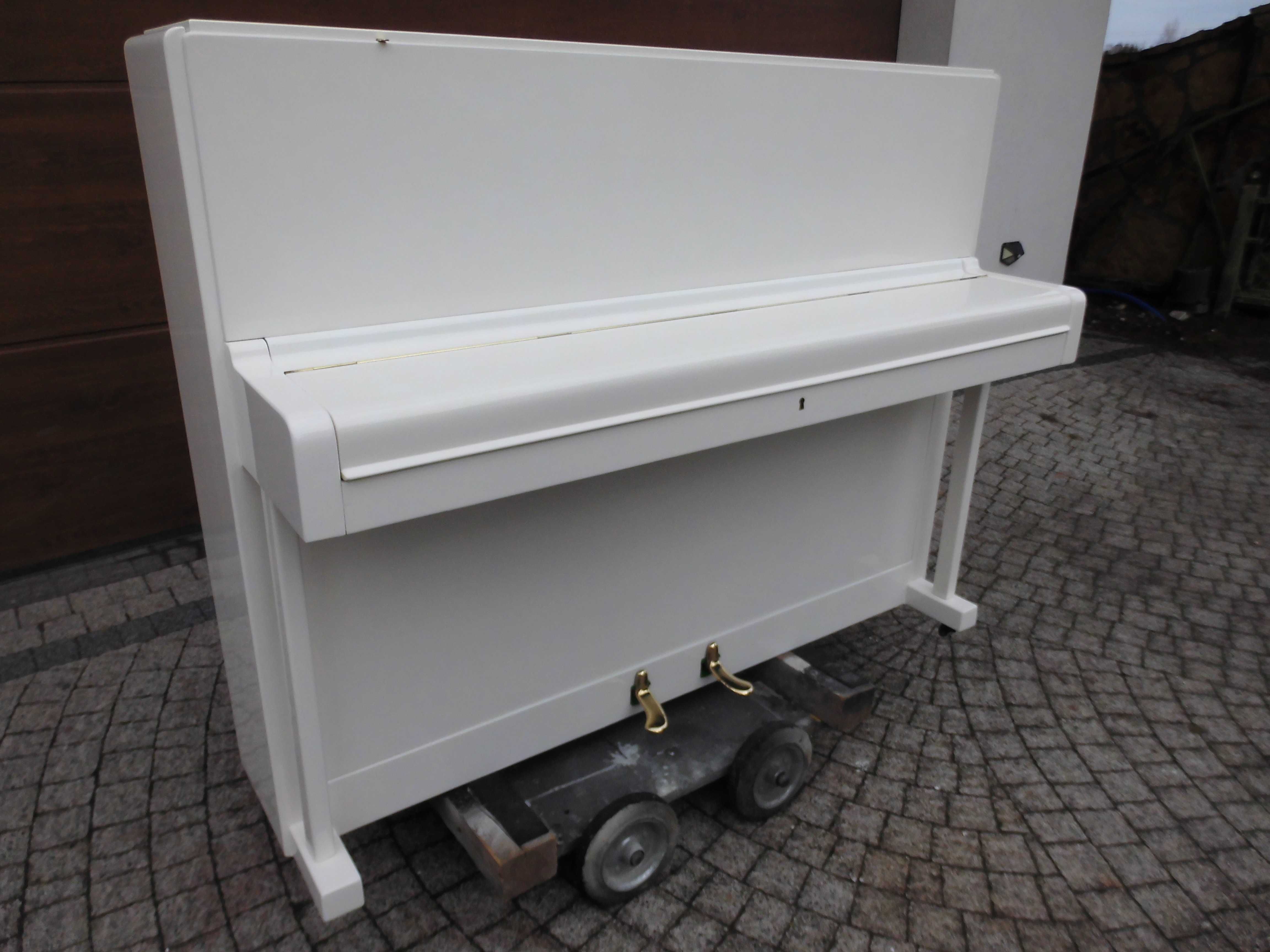 Wyższe Pianino  Petrof M115 na gotowo biały poliester transport