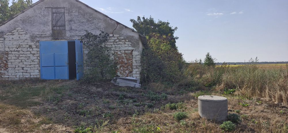 Продам дві ферми