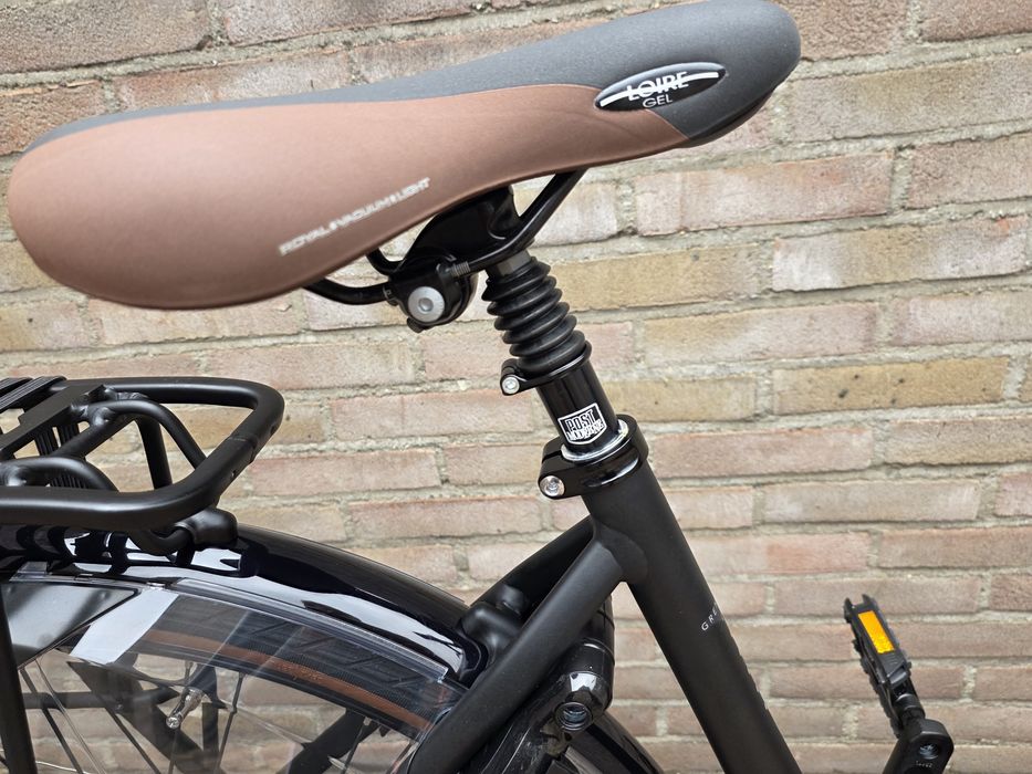 Rower Elektryczny Gazelle Grenoble C8 Smart Bosch 49,53,61