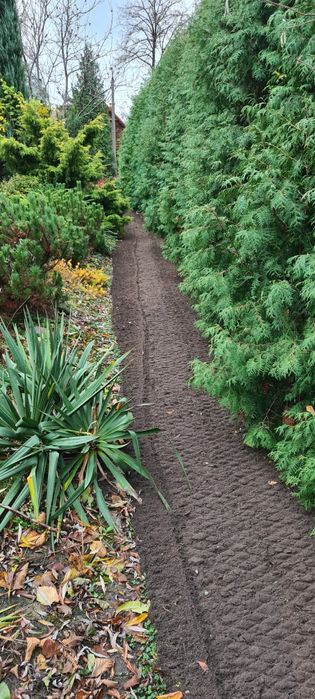 Usługi glebogryzarką separacyjną. Zakładanie i renowacja trawników.