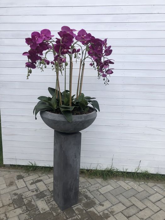 Dekoracja postument betonowy z misą - storczyki kolor fuksja .