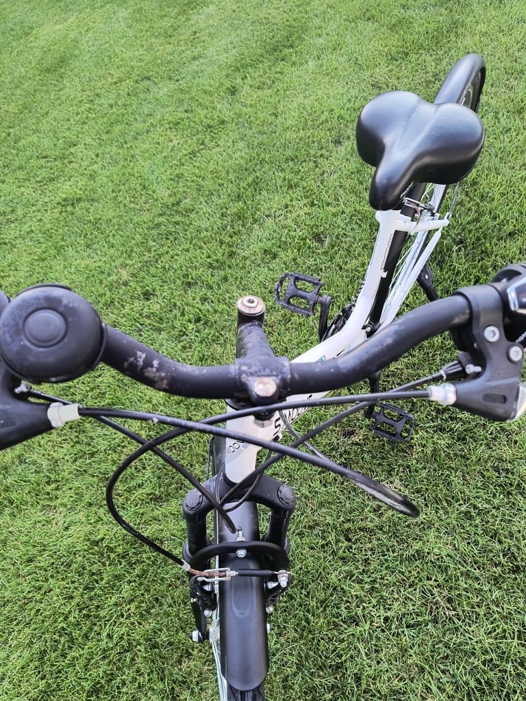 Rower damka Dromader 28