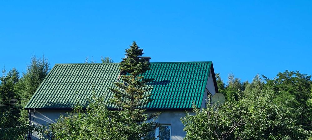 Malowanie  dachów,elewacji ,naprawa dachów montaż rynnień- śniegolapów