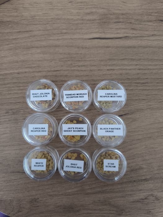 Nasiona chili super hoty