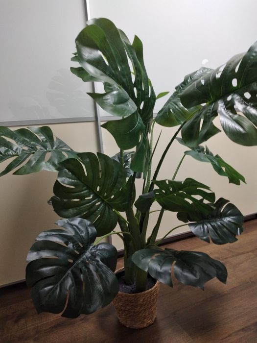 Monstera sztuczna