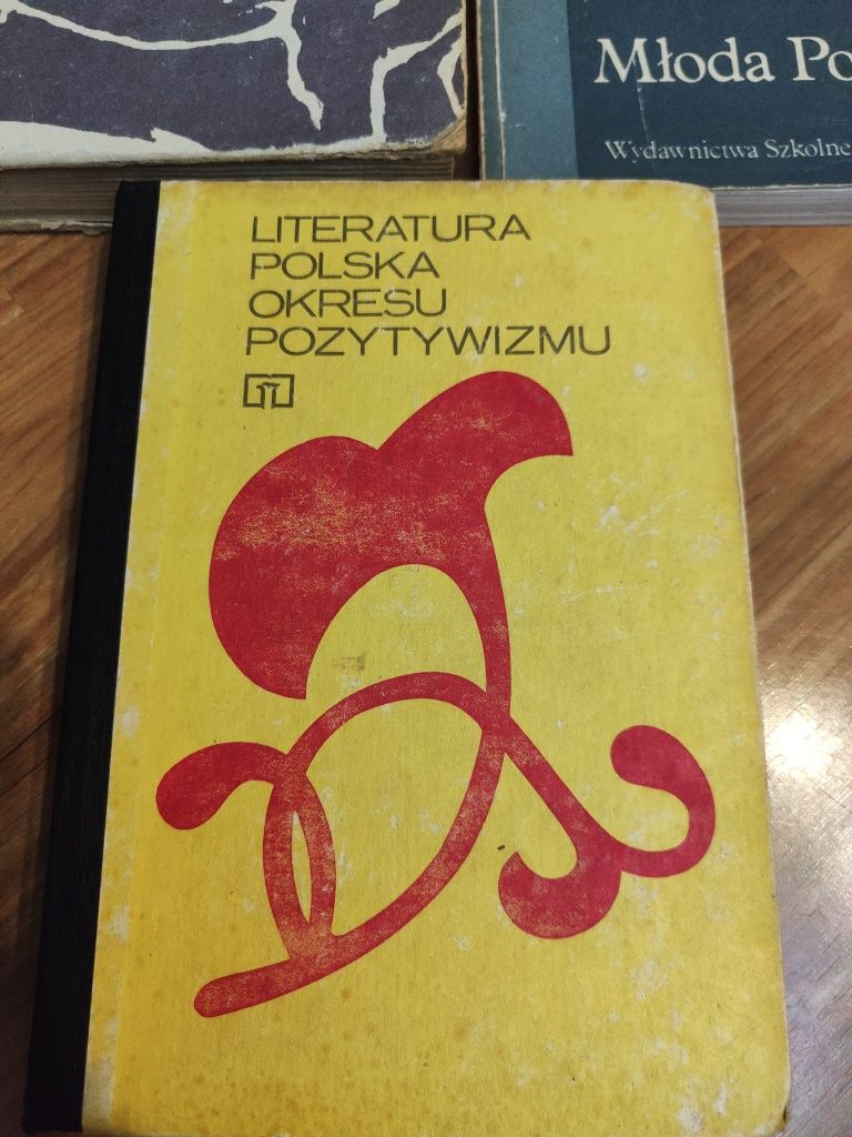 Literatura- powszechna, Młoda Polska, Pozytywizm