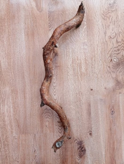 Naturalna gałąź drewno do rękodzieła