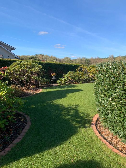 Projektowanie i zakładanie ogrodów. Ogrody kompaktowe. Trawniki.