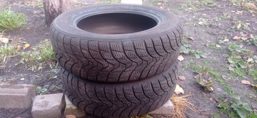 Шини 205/60 r16 premiorri