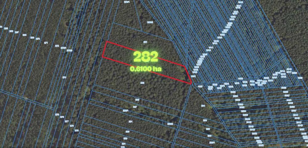 Las na sprzedaż - Witów, gmina Irządze