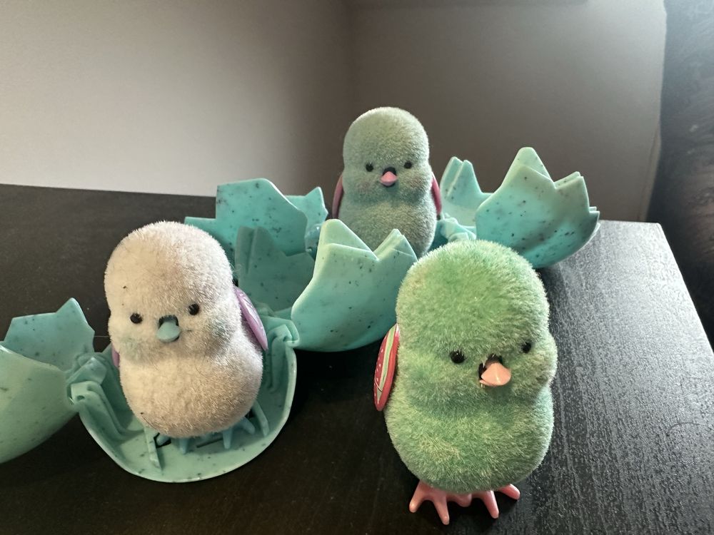 Little live pets kurczaki