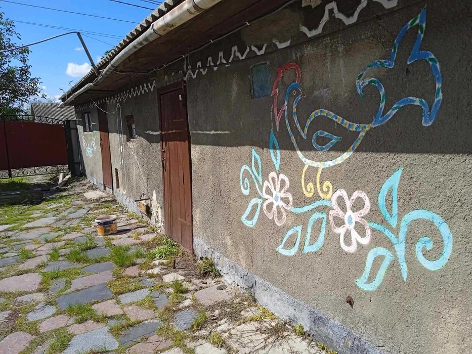 Продам будинок і земельну ділянку в Оліївці (8 км від Житомира).