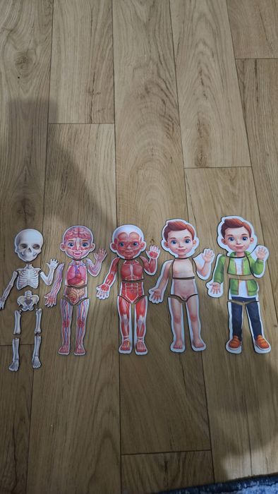 Продам сортер-пазл "Анатомія людини"