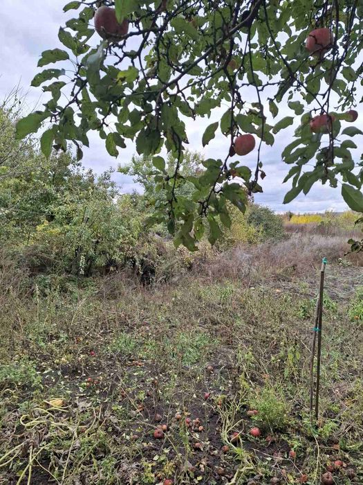 Продаж будинку Нові Безрадичі,вул.Жовтнева.Київська обл,15 км до Києва