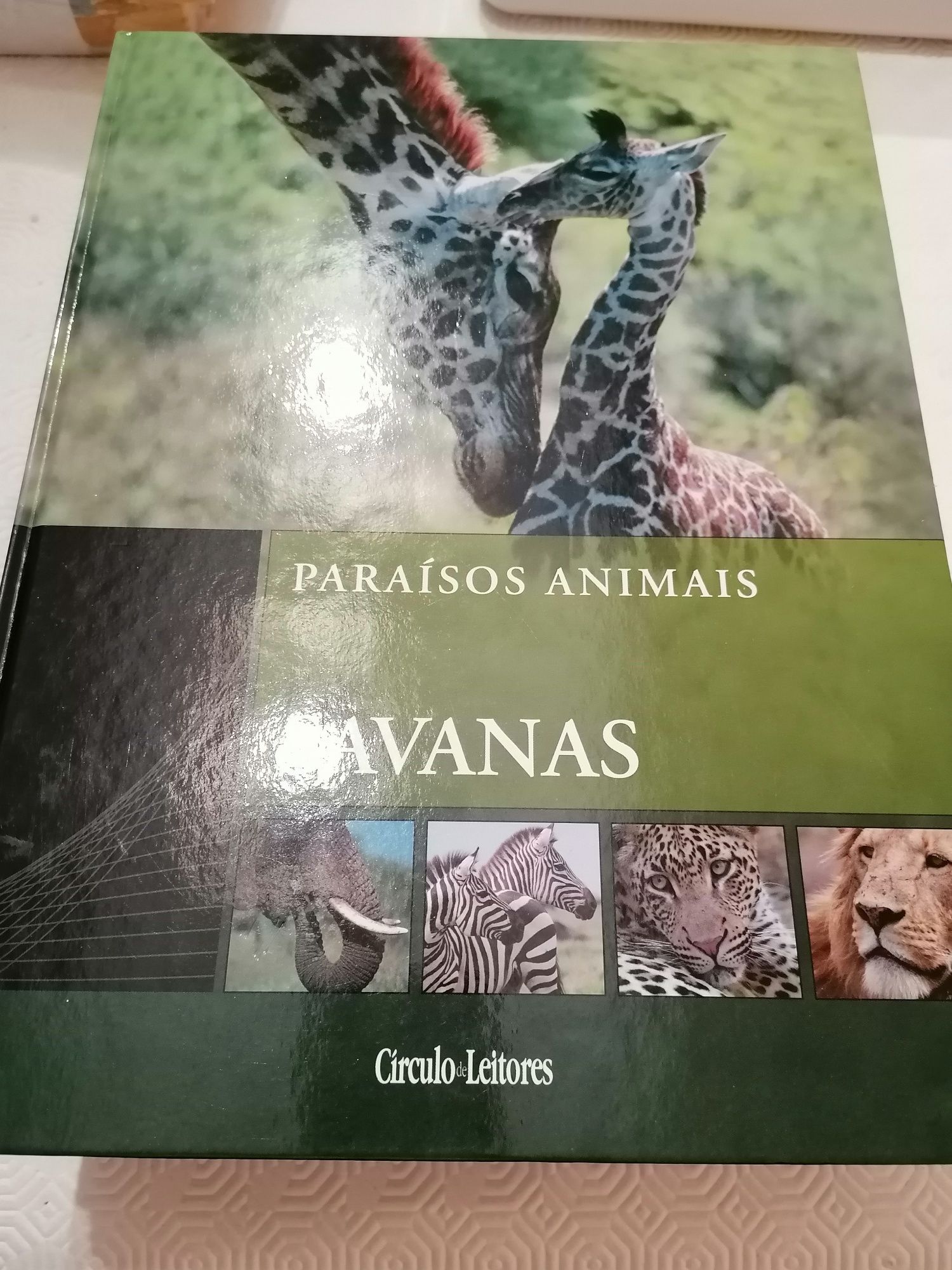 Paraísos Animais