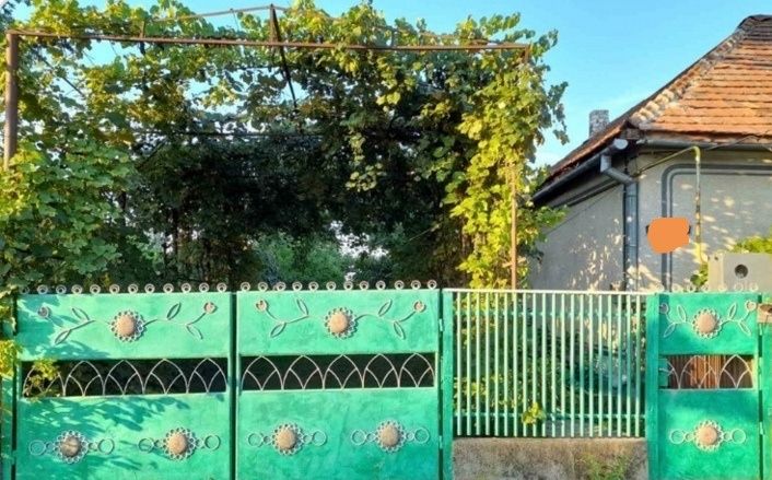 Продам дом в селі.