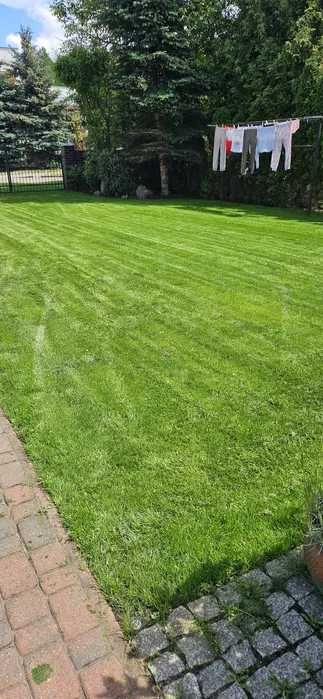 Uslugi ogrodnicze Trawniki, Nawadnianie, Zakładanie Ogrodów