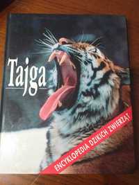 Tajga- encyklopedia dzikich zwierząt