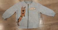 Bluza Scoob-Doo rozmiar 98