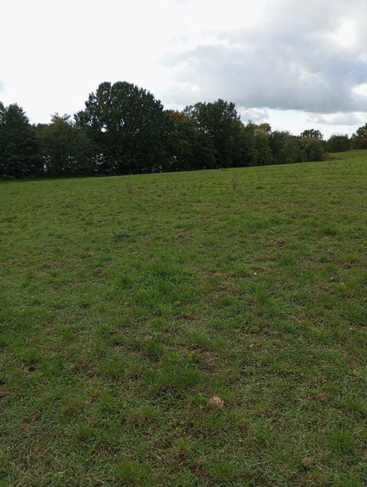 Działka z linią brzegową jeziora Długie 30ar