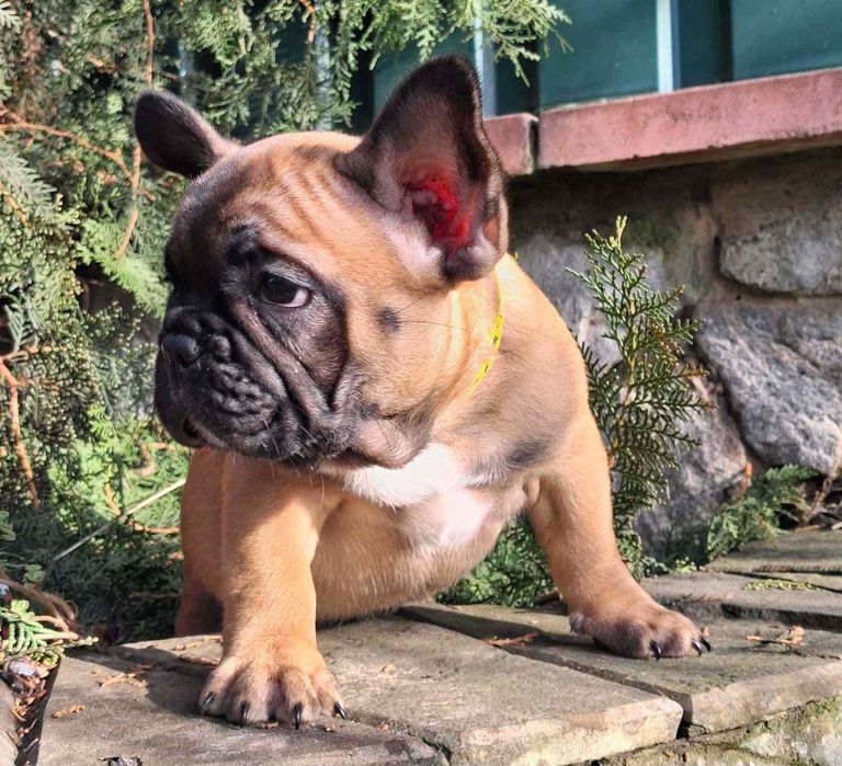 Неймовірні красені