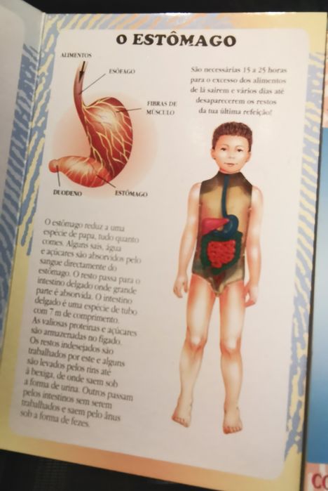 O meu primeiro livro do corpo humano