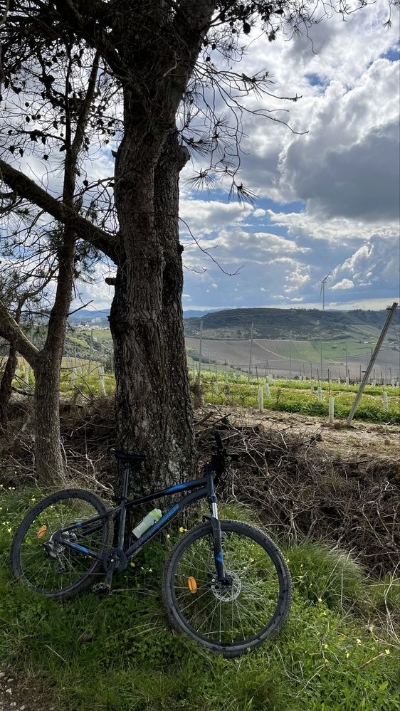 Bicicleta Rockrider ST120