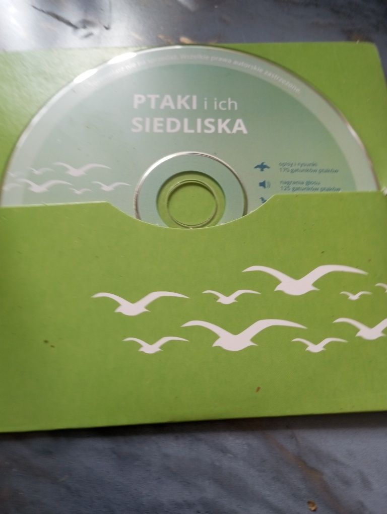 Płyta DVD filmo ptakach