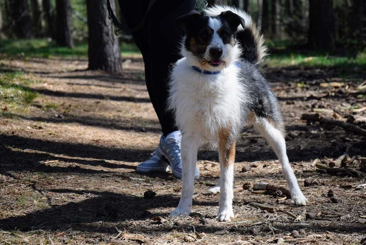 Dagi- daj mu szansę i pokochaj !