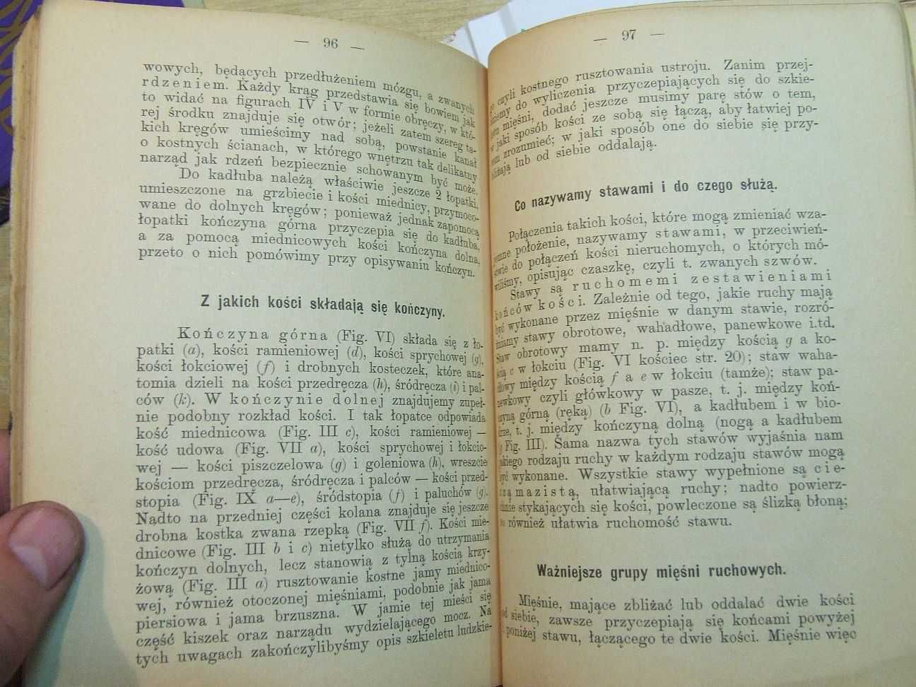 Jak się objawia życie ludzkie J. Zanietówski 1897r stara przedwojenna