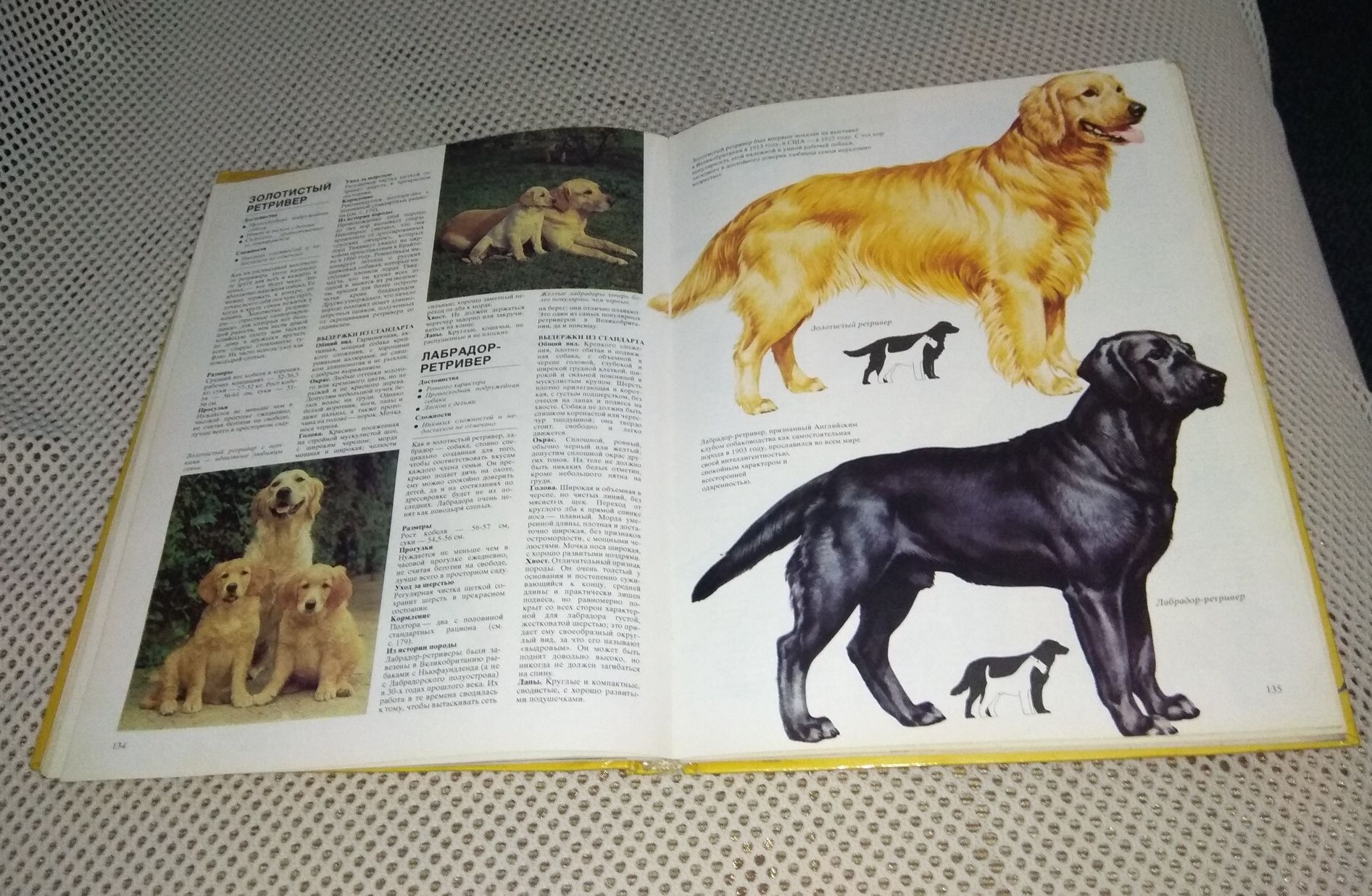 Книга Ваша собака