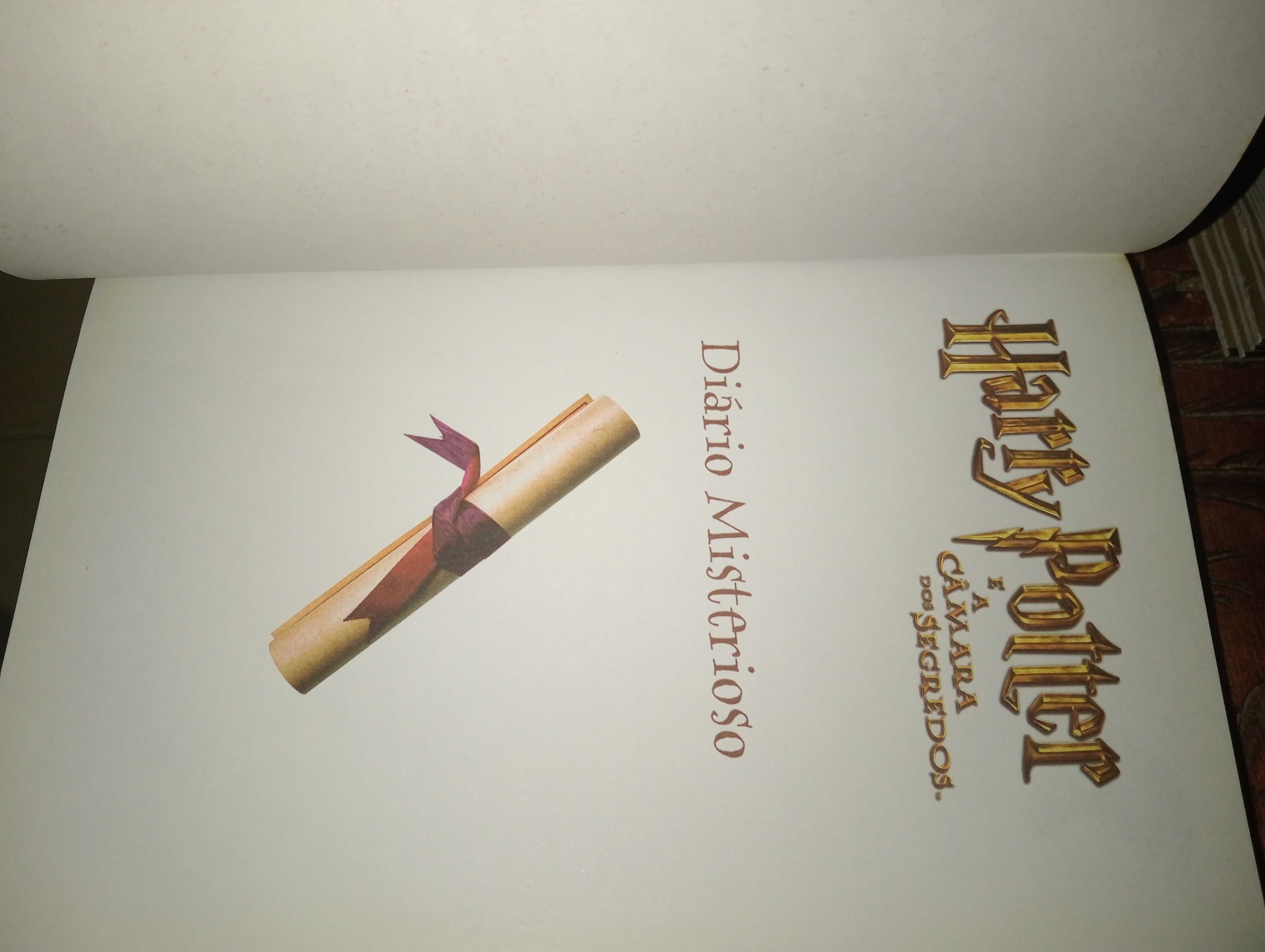 Harry Potter diário misterioso