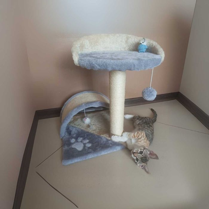 DRAPAK dla kota z domkiem LEGOWISKIEM wieżą sizal 2 poziomy 47 cm NOWY