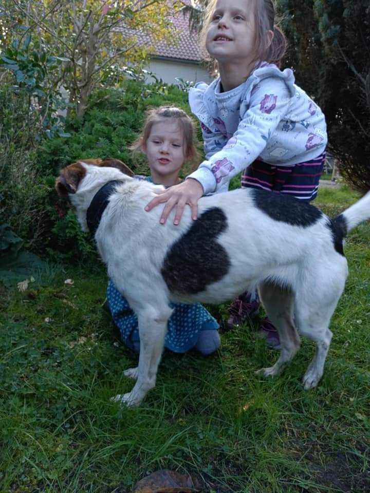 Bella, 4 lata, kochana, pogoda, mądra