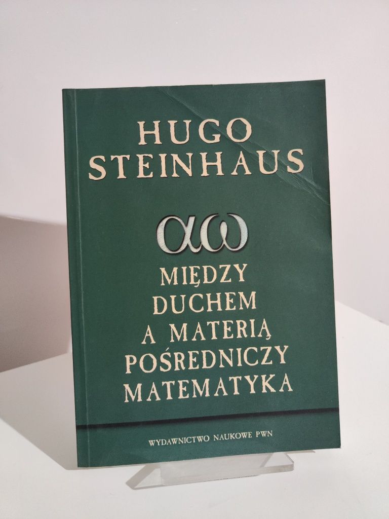 Między duchem a materią pośredniczy matematyka - Hugo Steinhaus