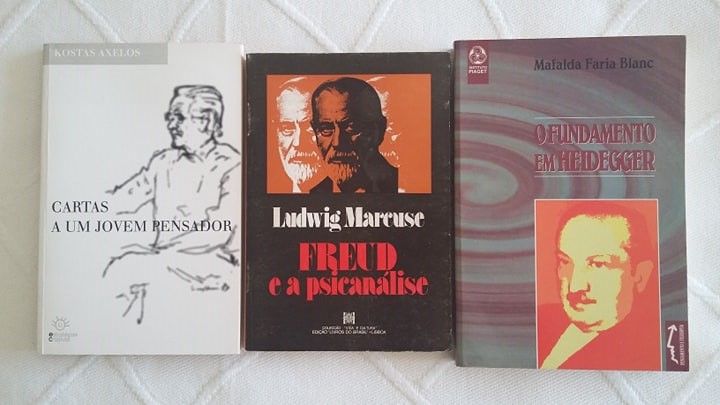 Filosofia: Lyotard/ Foucault/ Morin/ Nietzsche/ Heidegger/ L. Wolfson