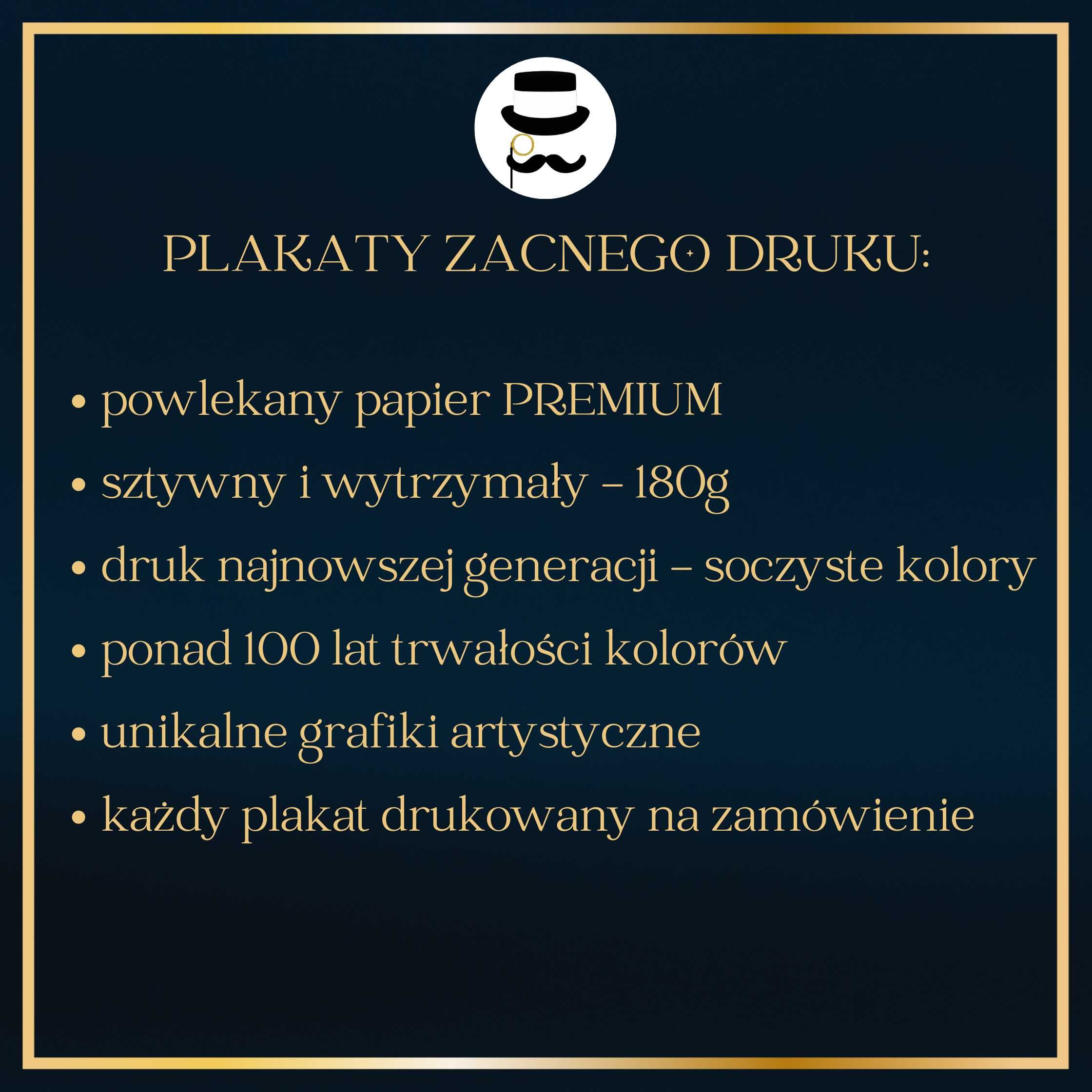 Plakat elegancki czarny kot 3 do salonu/ sypialni - 30x40cm