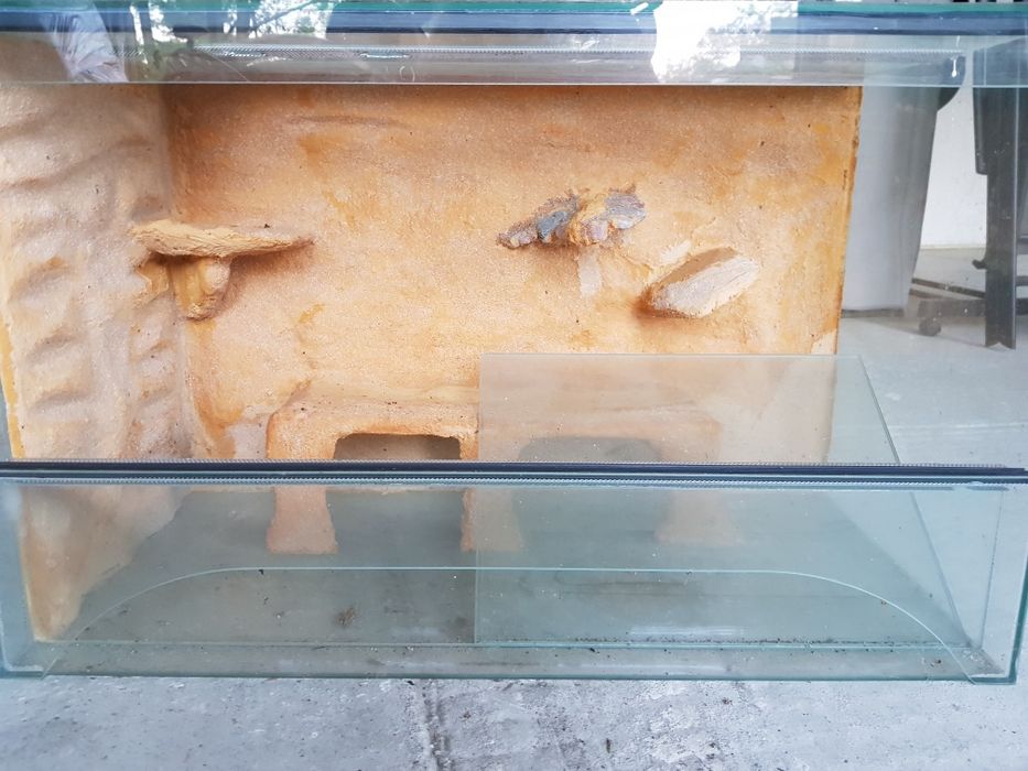 Terarium szklane