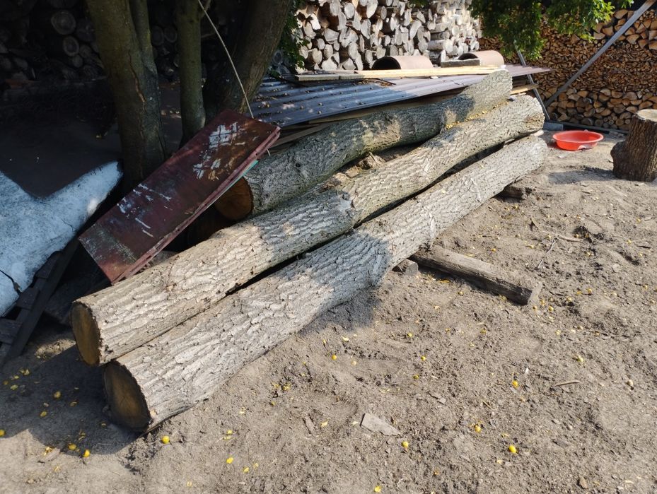 Drewno dąb w klockach około 1,25m3
