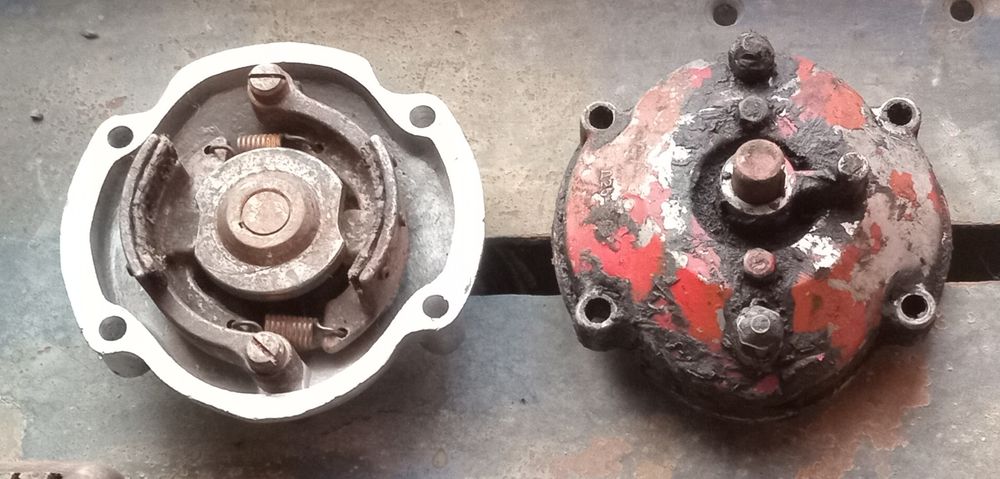 Борона зубова маленька райборінка