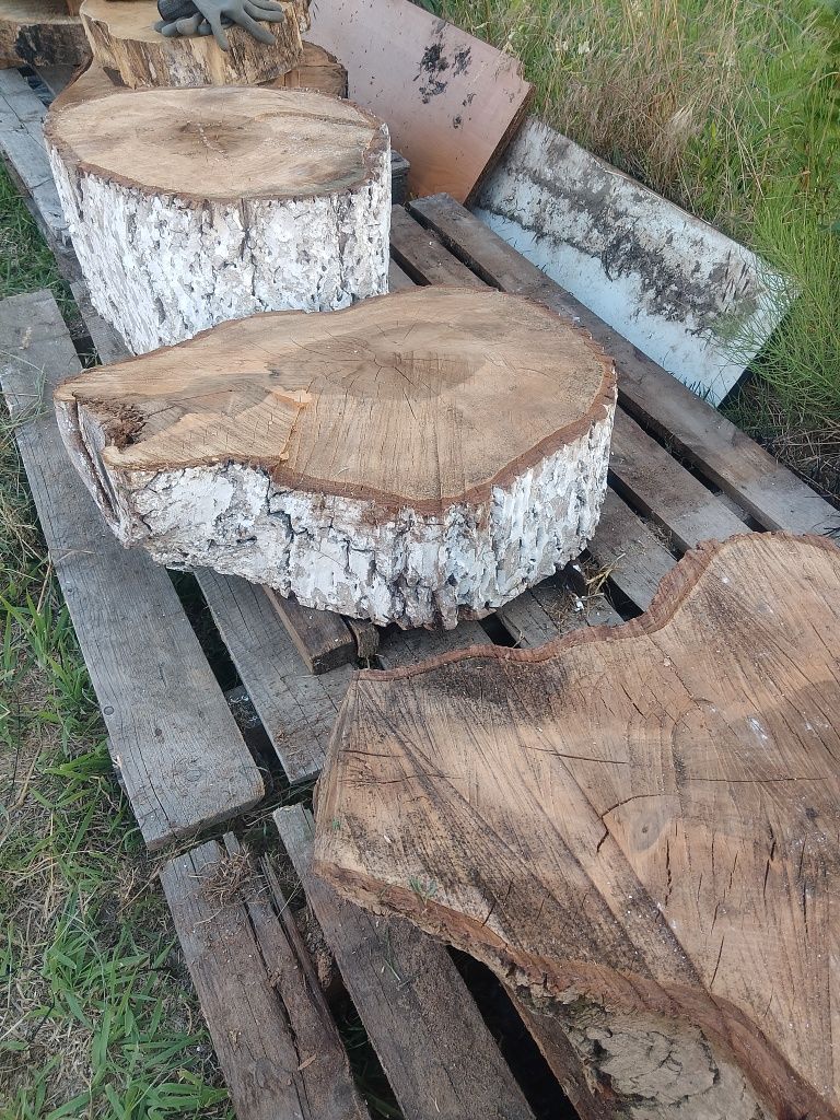 Plaster drewna orzech sezonowany 60x45
