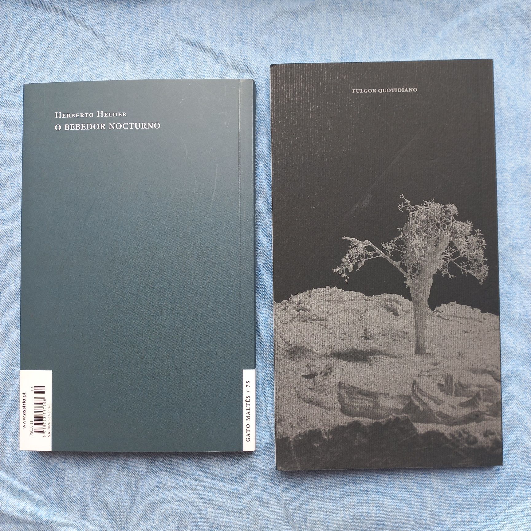 NOVOS Herberto Helder/Pascal Quignard