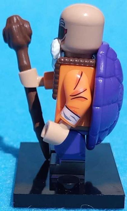 Tartaruga Genial (Dragon Ball)