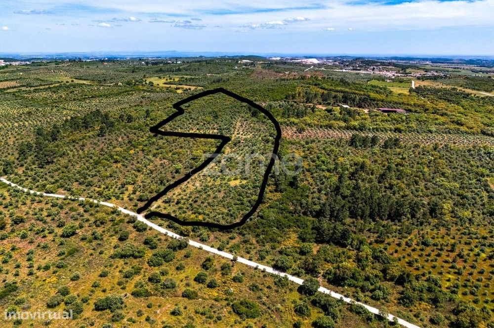 Terreno 5,5 ha com projeto turístico aprovado – Borba, Alentejo